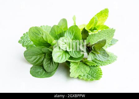 Three types of mint close up Stock Photo