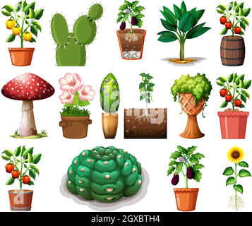 Set of different plants in pots isolated on white background Stock Vector