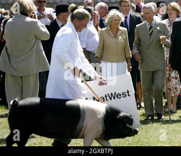 Prince Charles, Prince of Wales and Camilla, Duchess of Cornwall view the pig judging area. Stock Photo