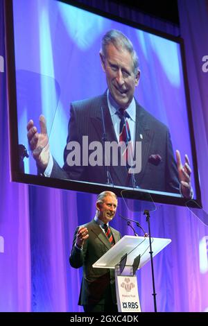 Prince Charles, Prince of Wales speaks at the Prince's Trust Celebrate Success Awards, at the Barbican in London, on March 15, 2007. Stock Photo