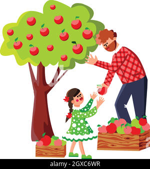 Man And Girl Harvesting Apples In Orchard Vector Stock Vector