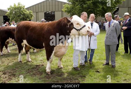 Prince Charles, Prince of Wales watches the judging of Hereford Bulls and presents the prizes at the Three Counties Show in Malvern, Worcestershire. Stock Photo