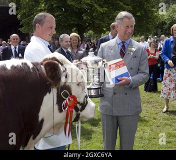 Prince Charles, Prince of Wales watches the judging of Hereford Bulls and presents the prizes at the Three Counties Show in Malvern, Worcestershire. Stock Photo