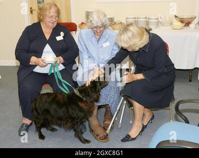 Camilla, Duchess of Cornwall meets (left to right) Dawn Kilrow, Christine Branton and their Collie cross Kia during a visit to the national headquarters of The Cinnamon Trust in Hayle, Cornwall. The Cinnamon Trust is an organisation established by Avril Jarvis, MBE, which helps elderly and disabled people care for their pets and walk their dogs. Stock Photo