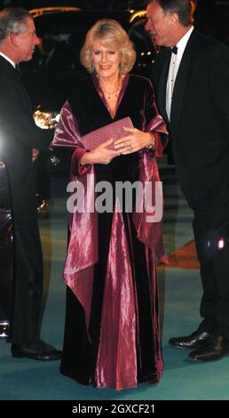 Camilla, Duchess of Cornwall arrives at the Royal Film Premiere of 'The Other Boleyn Girl' at the Odeon, Leicester Square in London. Stock Photo