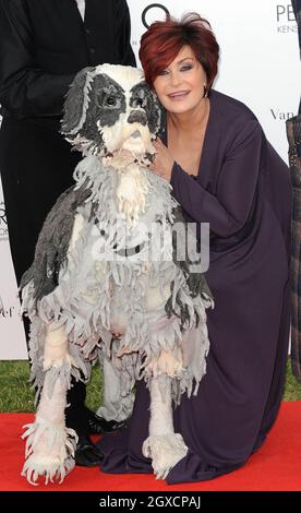 Sharon Osbourne arrives for a gala performance of Peter Pan in aid of The Prince's Trust Foundation for Children & The Arts at Kensington Gardens in London. Stock Photo