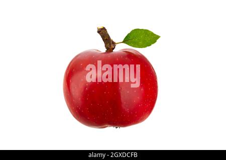 Tasty red apple with green leaf isolated on white without shadow Stock Photo