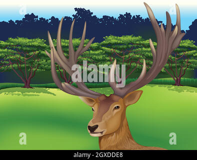 Deer Stock Vector