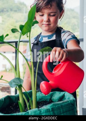 Focused little girl in black apron standing and watering green plant in pot on balcony against green hill in daytime Stock Photo