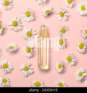 Creative flat lay on pastel pink background. Daisy flowers and perfume container. From above. Concept of cosmetic industry. Copy space for your text. Stock Photo