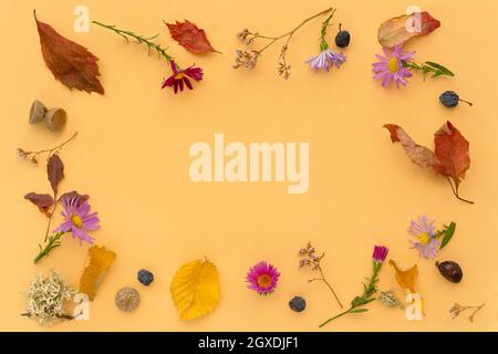 Autumn flat lay. Small multicolored flowers, leaves, nuts, berries on a beige pastel background. Beautiful frame. Copy space, creative floral backgrou Stock Photo