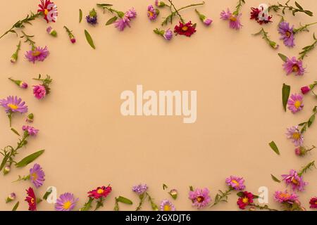 Autumn floral flat lay. Small multicolored asters on a beige pastel background top view. Beautiful design frame. Copy space, creative floral backgroun Stock Photo
