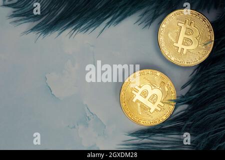 Golden Bitcoins Cryptocurrency top view stack of Digital coins on gray marble desk table green feathers background.Flat lay blank text.Copy space for Stock Photo