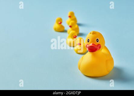 Rubber ducks on blue background Stock Photo