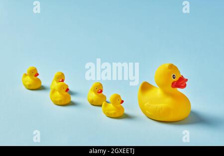 Rubber ducks on blue background Stock Photo
