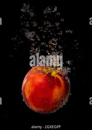 Peach splashing in water on a black background Stock Photo