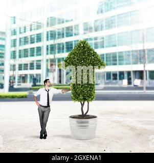 Businessman cultivates a plant that grows like an arrow . Concept of growing of company economy . Stock Photo