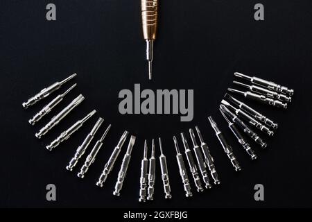 Screwdriver and set of replaceable bits, closeup, grey background, nobody. Professional instrument, worker equipment, screwing tools Stock Photo