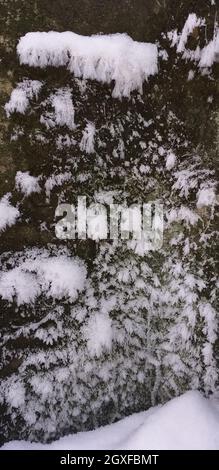 winter background: rough concrete covered with frost Stock Photo