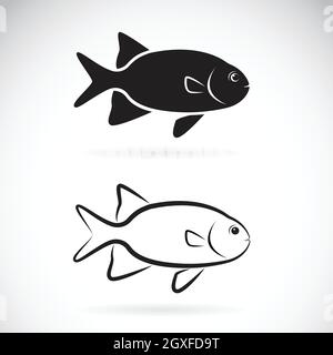 Vector of two fish on white background. Aquatic animals. Easy editable layered vector illustration. Stock Vector
