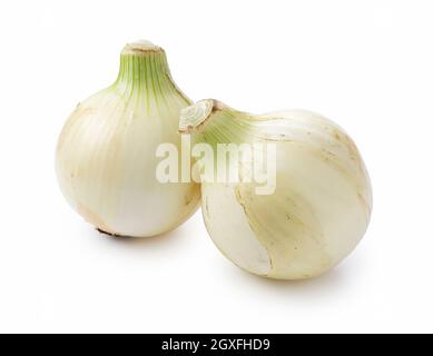 Two new onions on a white background. Stock Photo