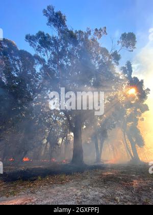 Smoke with sunlight from a bushfire in Australia Stock Photo - Alamy