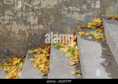 Colorful fallen maple leaves on wet granite stairs in Kaunas City, Lithuania Stock Photo