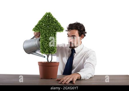 Businessman watering a plant that grows like an arrow . Concept of growing of company economy . Stock Photo
