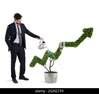 Businessman watering a plant that grows like an arrow . Concept of growing of company economy . Stock Photo