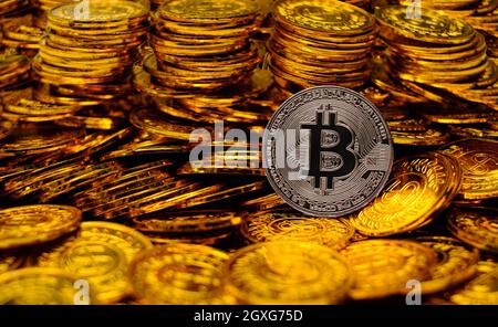 Silver bitcoin cryptocurrency on pile gold coins a lot of Stock Photo