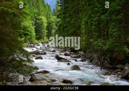 Landscape in the High Tatras. The river Biela voda in the canyon Bielovodska dolina near the border between Poland and Slovakia. Stock Photo