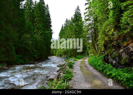 Landscape in the High Tatras. The river Biela voda in the canyon Bielovodska dolina flowing next to the hiking trail. Border between Poland and Slovak Stock Photo