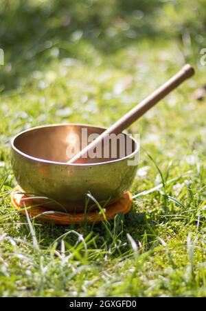 Metal singing bowl in the grass of the own garden, zen Stock Photo