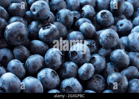 Fresh Blueberry Background. Texture blueberry berries close up. Various fresh summer berries. Blue food. Stock Photo