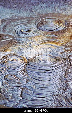 Boiling mud rises to the surface in a Rotorua, New Zealand mud pool. Mud pots and pools are common in the thermal landscape of this city nicknamed the Sulphur City. Stock Photo