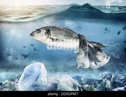 Trapped fish by a floating bag. Worldwide problem of plastic pollution under the sea Stock Photo