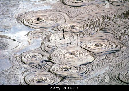 Boiling mud is one of the many geothermal features found in the Taupo Volcanic Zone on the North Island of New Zealand.  Boiling mud pools, known as mudpots, are part of the geothermal activity creating otherworldly bubbling mud. Stock Photo