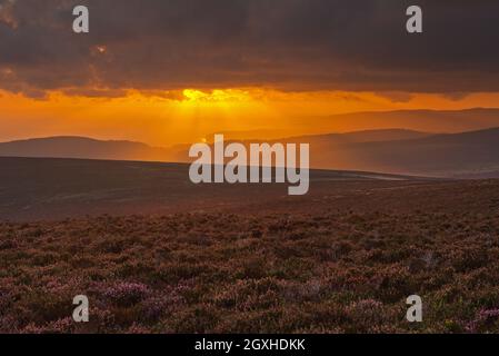 a late summer / early autumn, early morning, colourful sunrise across the top of Dunkery Beacon in Exmoor National Park, Somerset, England, UK, Stock Photo