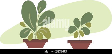 Green potted plants. Indoor green abstract plants modern flat colored vector design. 2d plants simple leaves. Small plants. Stock Vector