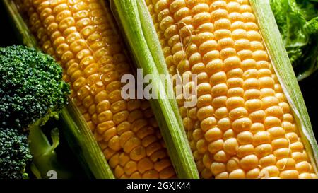 Closeup photoof water droplets falling from fresh corn ears. Background for healthy food and GMO free products.Diet nutrition and fresh vegetables. Ve Stock Photo