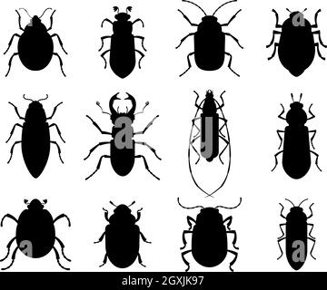 Collection of silhouettes of different beetles Stock Vector
