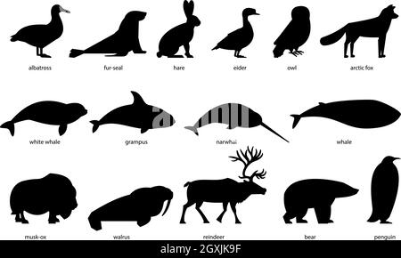 Collection of silhouettes of Arctic Animals Stock Vector