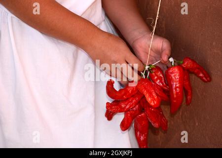 A woman demonstrates how to make ristras, or strings of chile peppers, at El Rancho de Las Golondrinas living history complex in New Mexico. Stock Photo