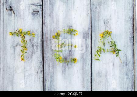 Word TEA is laid out from medicinal hypericum with yellow flowers on a wooden table. Healthy dried herbal drink. Top view. Stock Photo