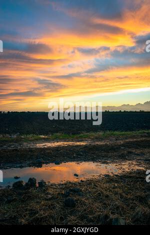 Stunning colors in the sky over Dutch agricultural landscape near Gouda, The Netherlands. Reflection of the colored clouds in a pool of water. Stock Photo