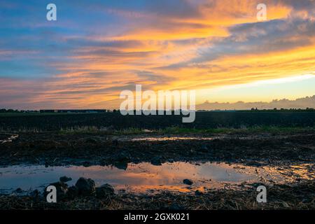 Stunning colors in the sky over Dutch agricultural landscape near Gouda, The Netherlands. Reflection of the colored clouds in a pool of water. Stock Photo