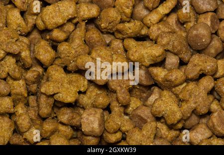 Dry cat food pieces with closeup macro details. Healthy feline pet nutrition, directly above full frame image. Stock Photo