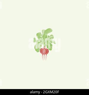 Radish water color logo design inspiration Stock Vector