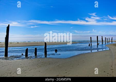 Poles In A Row - The spot where Joe Creek comes to the ocean, right next to Pacific Beach State Park, Pacific Beach, WA Stock Photo