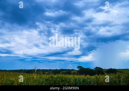 Water tower in stormy clouds with corn fields Stock Photo